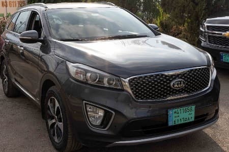 Kia 2024 parked next to green trees in parking lot
